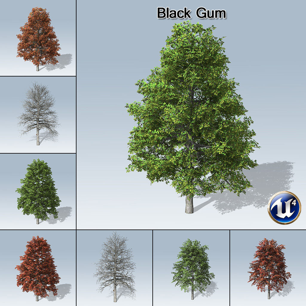 Black_Gum_product_with_7_variations